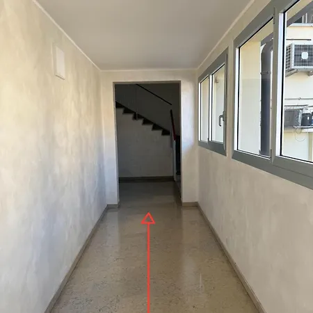 Beliy Проживание в семье Местре