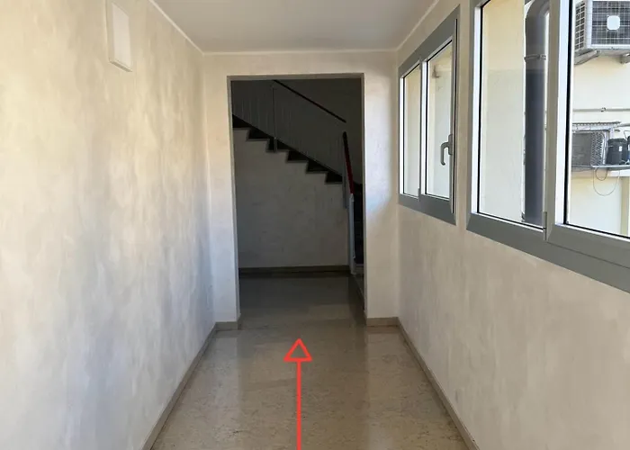 Beliy Проживание в семье Местре