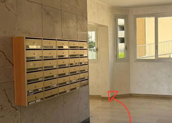 Beliy Проживание в семье